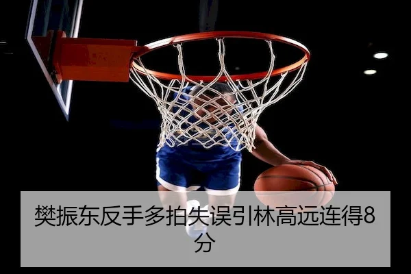 樊振东反手多拍失误引林高远连得8分